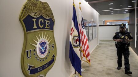 Federal agents nab 1,000+ illegal aliens in major Illinois sweep: ‘Making the state safe again’
