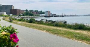 Advocates applaud Halifax council’s move to restrict Dartmouth Cove infilling