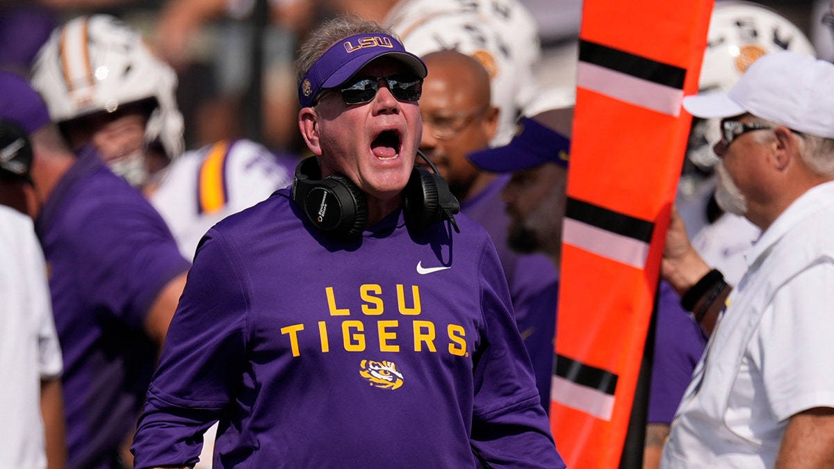 Brian Kelly yells at an official