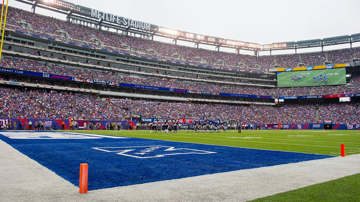 MetLife turf