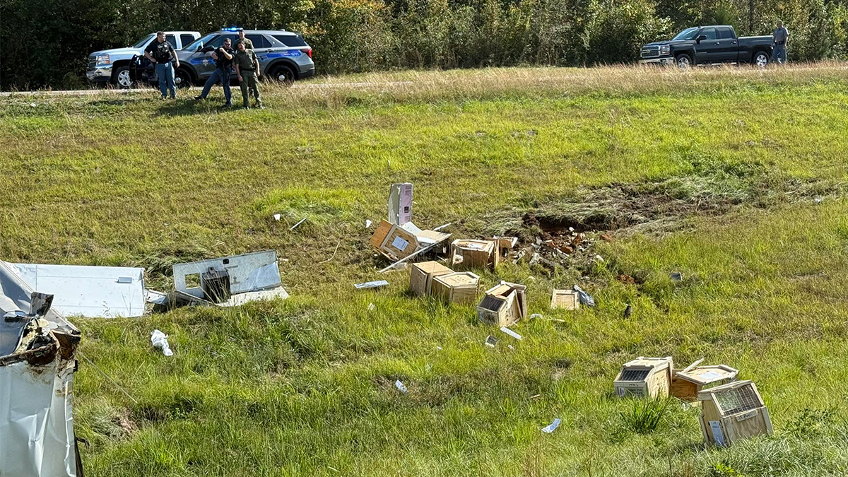 Debris was seen near the scene of the Mississippi crash, as authorities tracked down the animals.