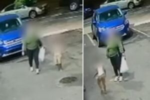 Autistic boy, 5, found wandering outside NYC laundromat while mom in custody for alleged home invasion