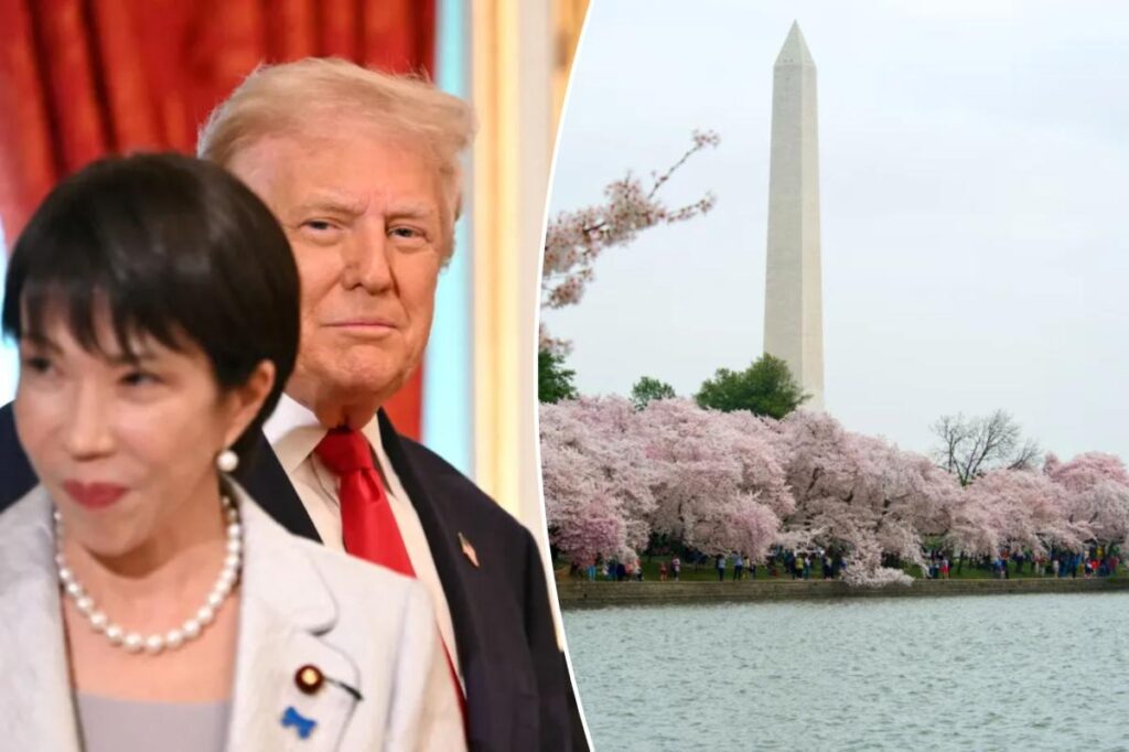 Japan’s new PM donates 250 cherry trees, fireworks for Trump’s DC refresh after watching World Series with prez
