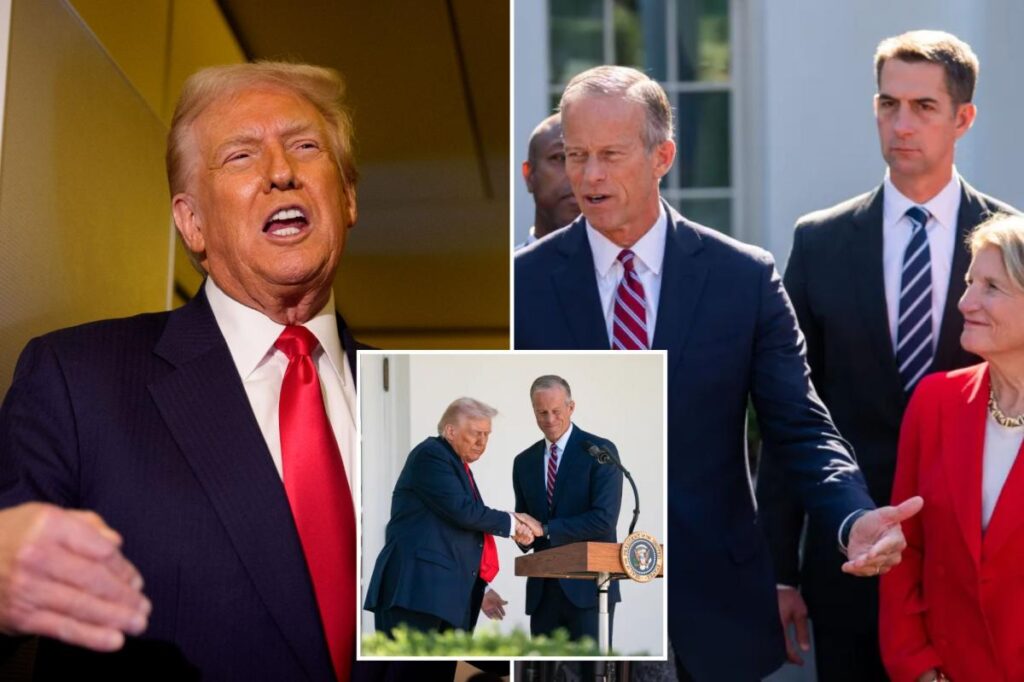 Trump demands Senate Republicans invoke ‘nuclear option’ to end ‘country destroying’ government shutdown 