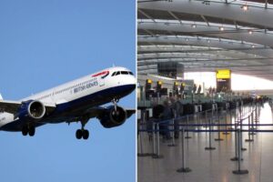 Panic ensues mid-flight after death of air force marshal prompts emergency landing