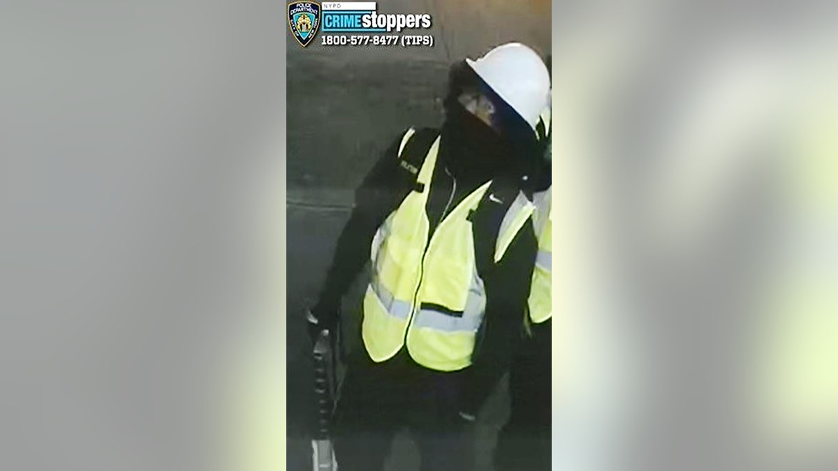 Queens multimillion dollar burglary suspect 2