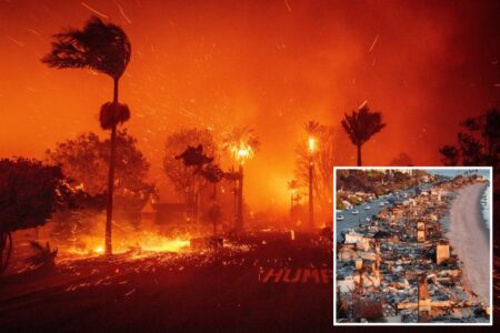 Suspect in deadly Los Angeles Palisades Fire arrested, law enforcement sources say