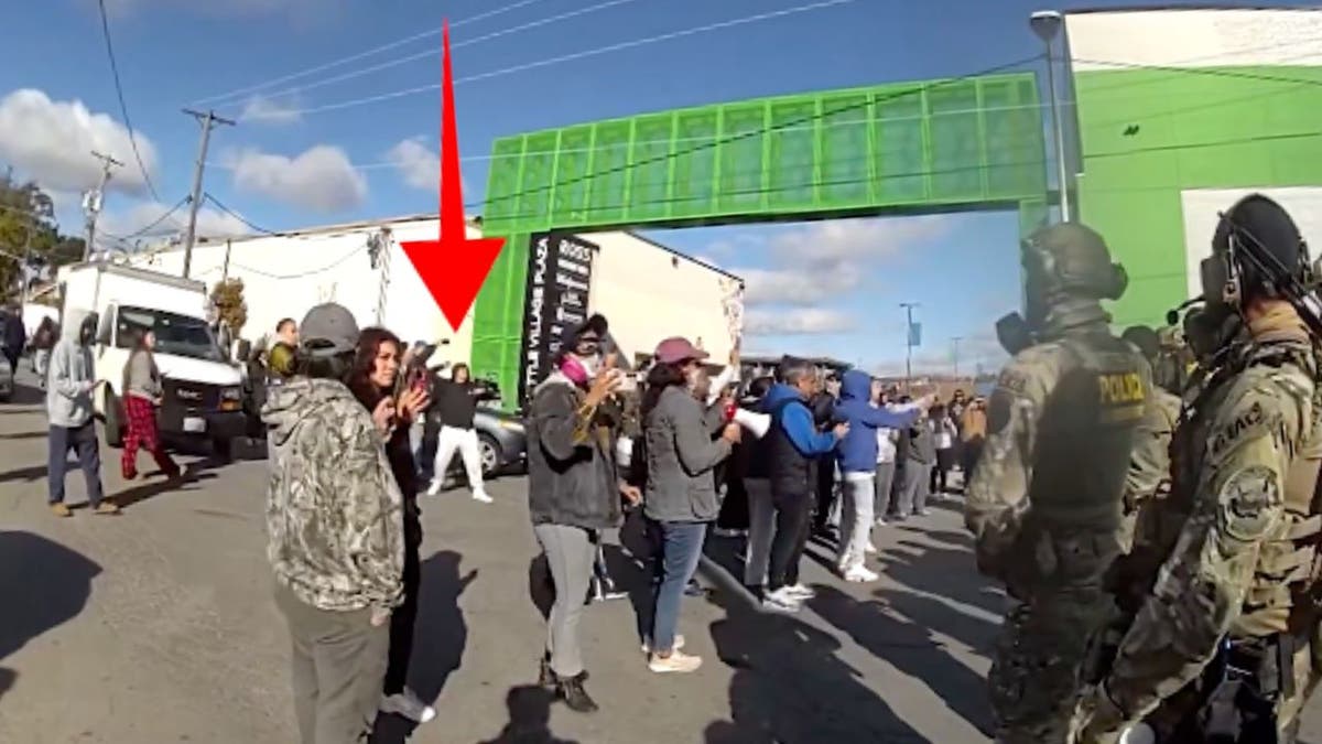 Protester throws rock toward Border Patrol agents during Chicago immigration raid.