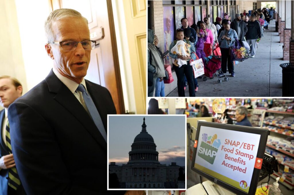 Dems vote for 13th time to keep government closed, halt SNAP benefits — as Majority Leader Thune proposes easy fix