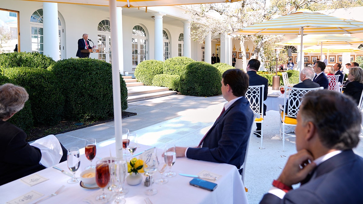 Senators look on as Trump delivers Rose Garden speech