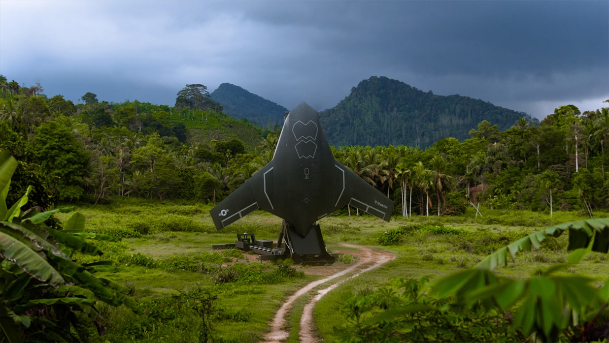 Rendering of X-BAT pictured on a remote island.