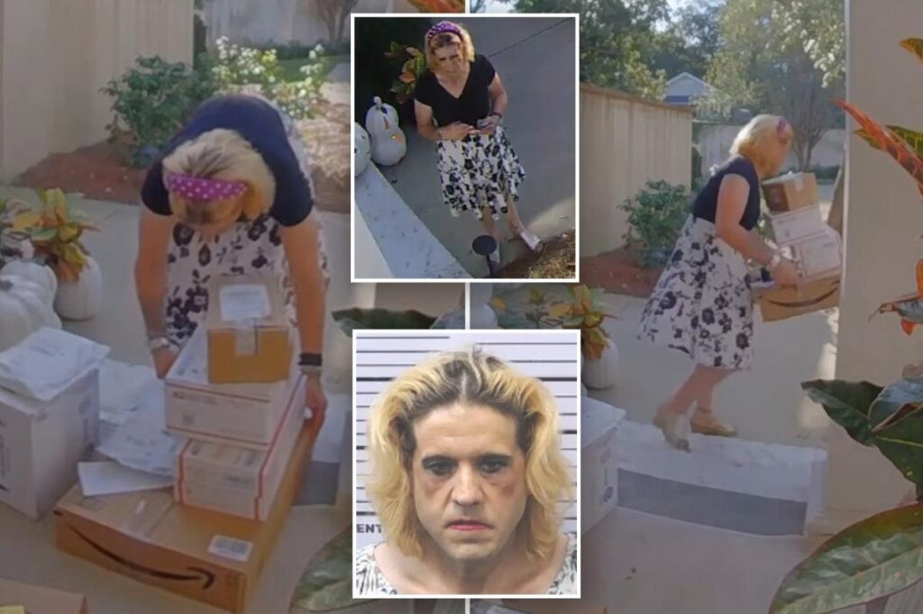 Cross-dressing porch pirate caught swiping packages had police baffled: ‘Particular look’ Cross-dressing porch pirate caught swiping packages had police baffled: ‘Particular look’