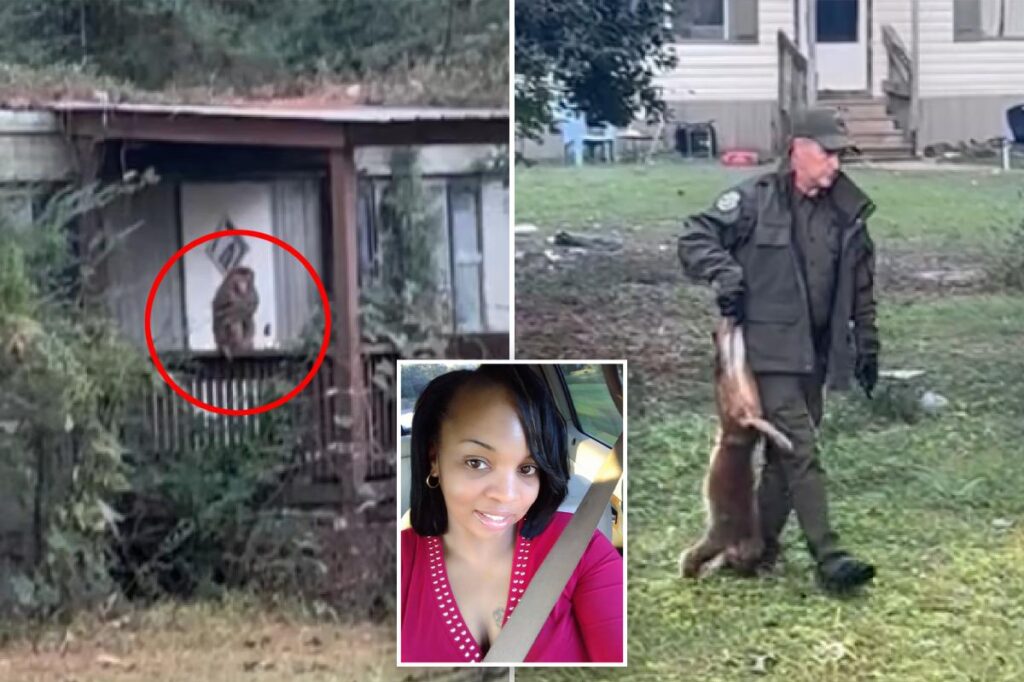 Mississippi mom shoots dead monkey that escaped from overturned truck to protect her children: ‘I did what any other mother would do’