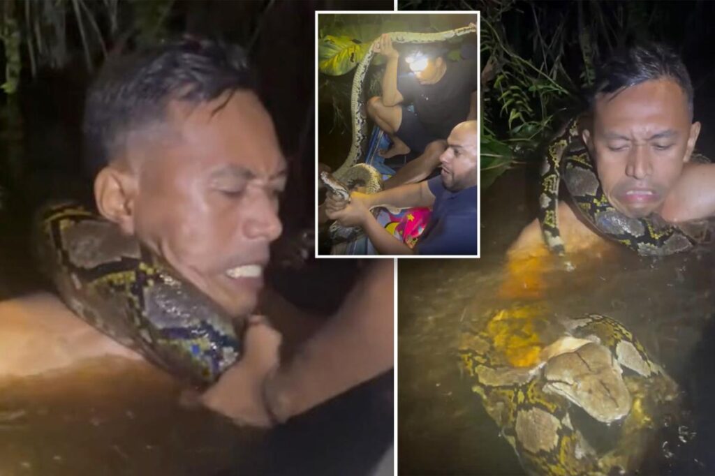 Horrifying video shows python drag tour guide underwater as it tightens its grip around his neck Horrifying video shows python drag tour guide underwater as it tightens its grip around his neck