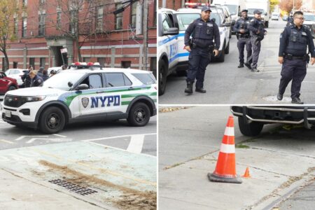 Boy, 16, shot at Bronx public housing complex: cops