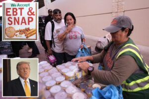 Trump admin asks SCOTUS to strike down judge’s SNAP order — arguing court ordered admin Congress hasn’t appropriated