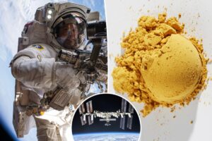 Urine-based astronaut food to be tested aboard ISS: ‘A key capability for the future of space exploration’