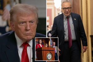 Trump argues Schumer ‘made a mistake’ amid Dem leader’s party infighting