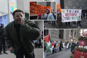 4 arrested as rowdy anti-Israel protesters disrupt Black Friday shoppers on NYC’s ritzy Fifth Avenue