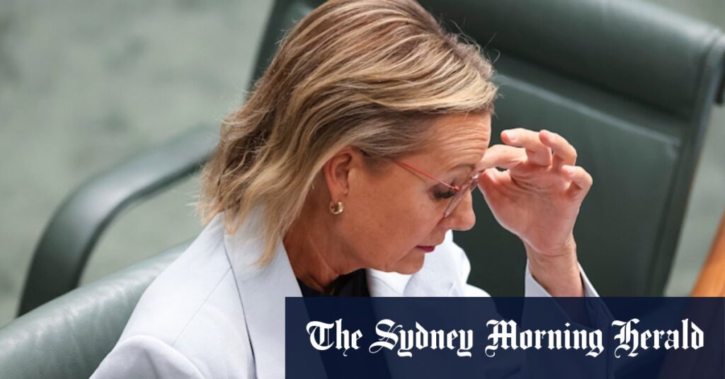 Ley caught between a rock and a hard place Ley caught between a rock and a hard place