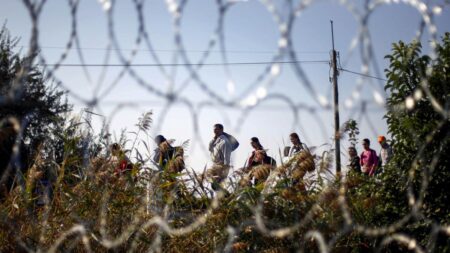 Not engaging with Taliban isn’t an option, Migration Commissioner says