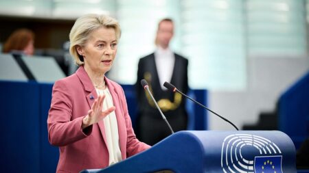 Von der Leyen offers minor concessions on EU budget to placate MEPs