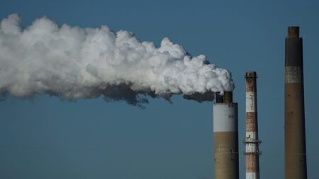 CO2 emission cut by 2040 backed by Parliament’s green committee