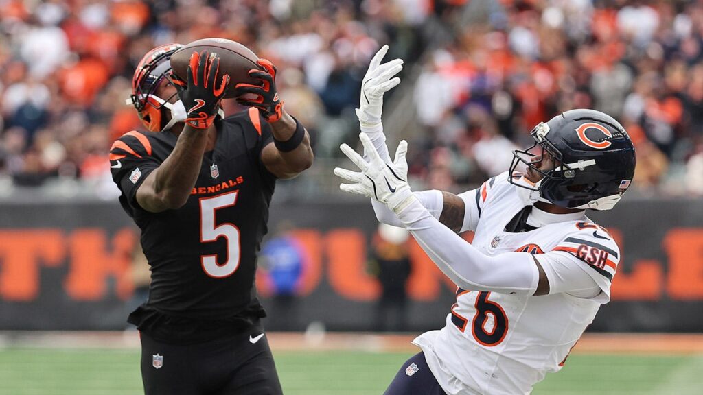 Bengals star makes incredible TD catch, achieves milestone only Hall of Famers accomplished