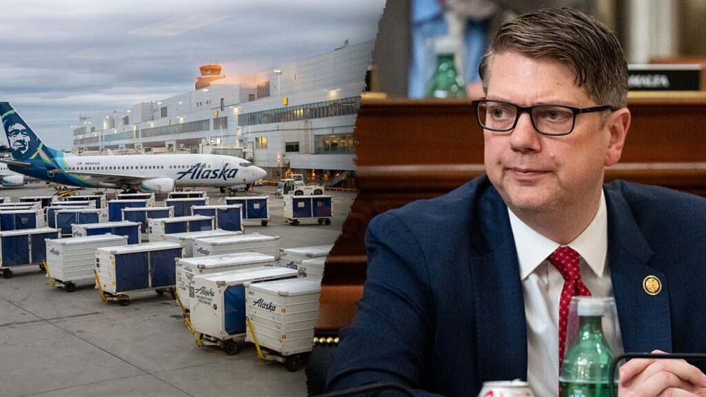 GOP lawmaker warns of possible food, medicine shortages as flights grounded GOP lawmaker warns of possible food, medicine shortages as flights grounded