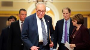 Senate vote to end government shutdown ignites Democrat civil war