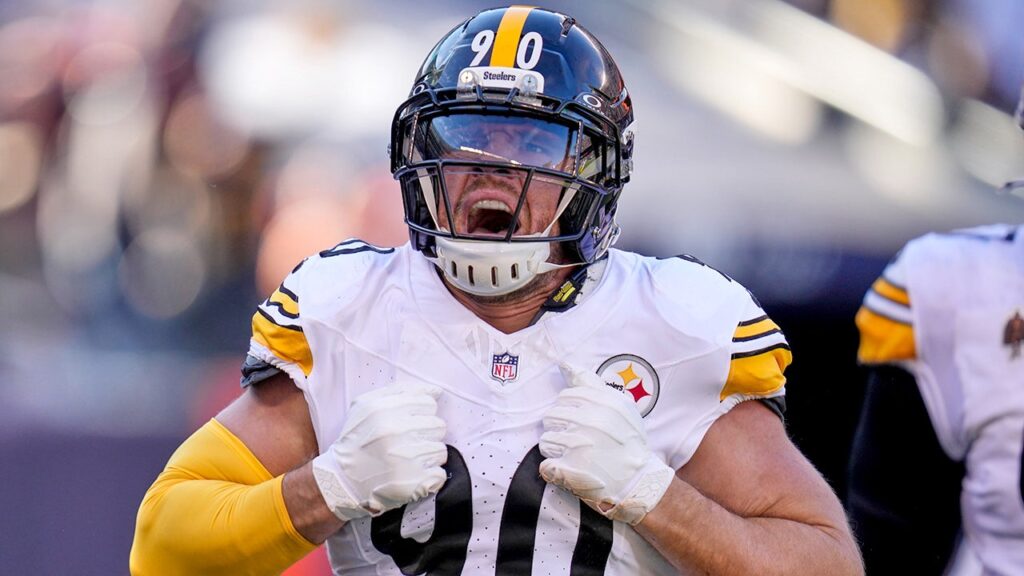 Steelers’ TJ Watt becomes family sacks leader after huge play vs Bears