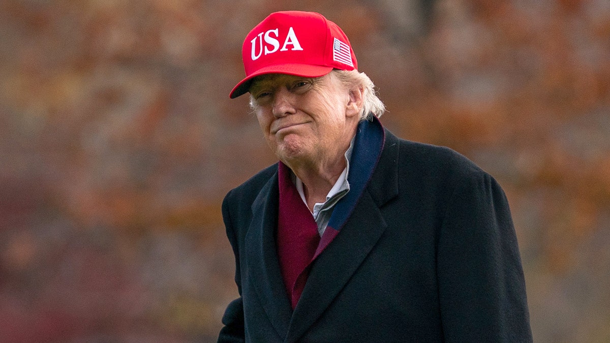 President Donald Trump wearing red USA cap