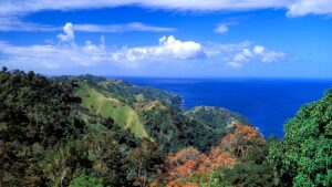 American tourist found stabbed to death in Tobago