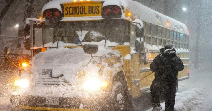 How Ontario school boards decide when to cancel school buses How Ontario school boards decide when to cancel school buses