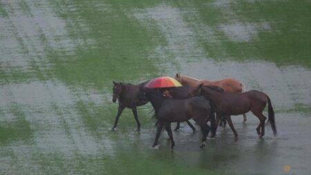 Malaysian floods affect 11,000 people across 7 states