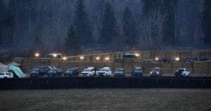 Ostrich cull complete at B.C. farm, flock of birds declared dead