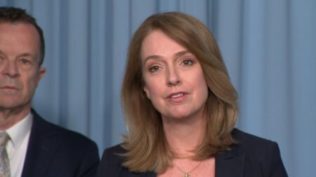 Sydney MP says she receieved ‘violent’ threats after condeming Sydney Neo Nazi protest