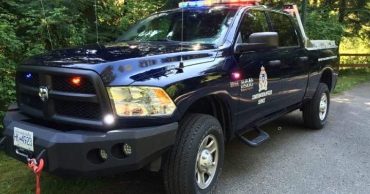 Officials investigating possible grizzly bear attack in Bella Coola Officials investigating possible grizzly bear attack in Bella Coola