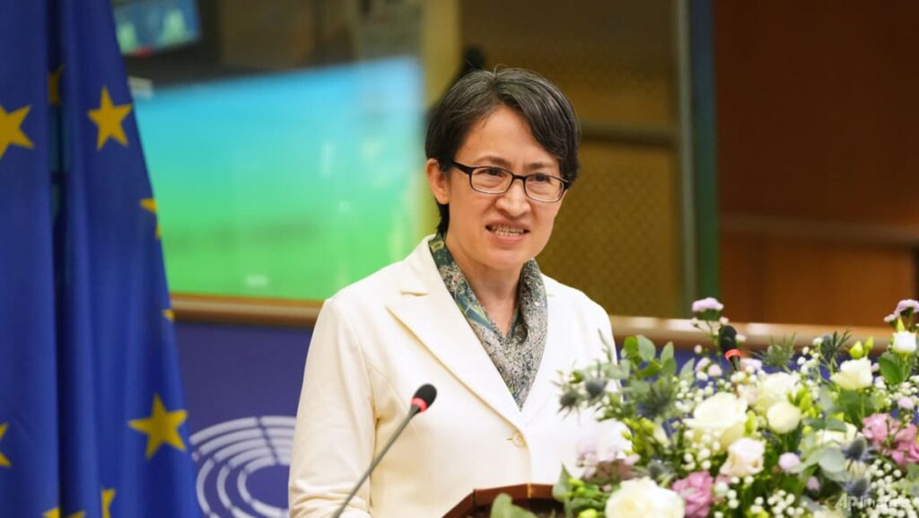Taiwan’s Vice-President Hsiao makes rare address to international lawmakers at European Parliament Taiwan’s Vice-President Hsiao makes rare address to international lawmakers at European Parliament