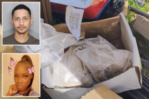 Florida man allegedly dumped mother-of-four’s cremated remains alongside 500 pounds of trash on roadside