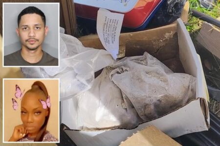 Florida man allegedly dumped mother-of-four’s cremated remains alongside 500 pounds of trash on roadside