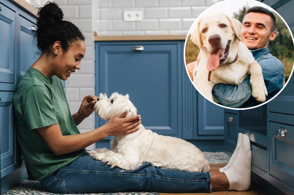 Dog owners swear their pet’s personality mirrors their own: survey