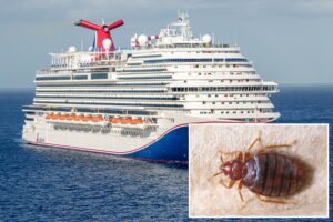 Passengers sue Carnival Cruise Line alleging they woke up with more than 30 bites from bed bugs