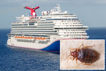 Passengers sue Carnival Cruise Line alleging they woke up with more than 30 bites from bed bugs