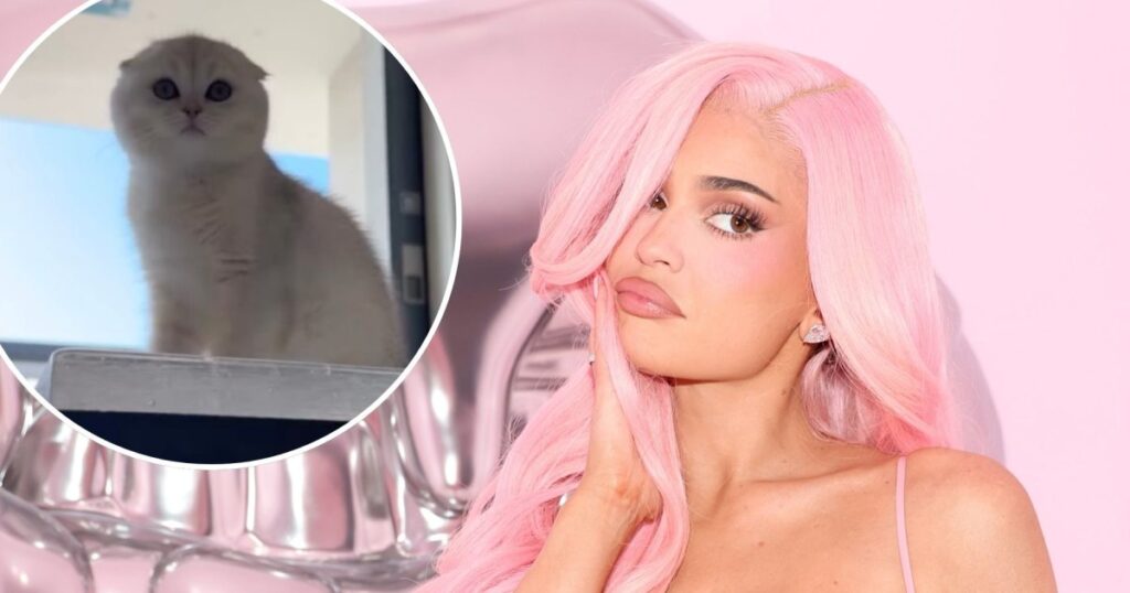 Kylie Jenner Reveals New Kitten Following the Death of Her Italian Greyhound Dog Norman Kylie Jenner Reveals New Kitten Following the Death of Her Italian Greyhound Dog Norman