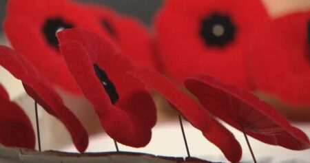 N.S. premier criticizes ‘disgusting’ ban on staff wearing poppies in some courtrooms