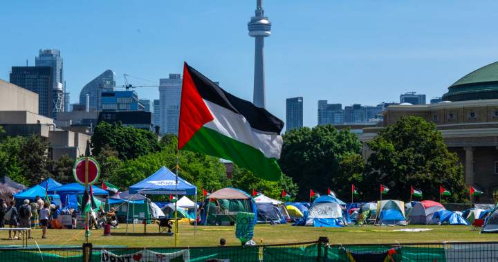 Toronto City Hall to raise Palestinian flag, joins other cities across Canada Toronto City Hall to raise Palestinian flag, joins other cities across Canada