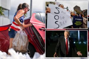 Trump administration cannot withhold  billion for food aid, US appeals court rules