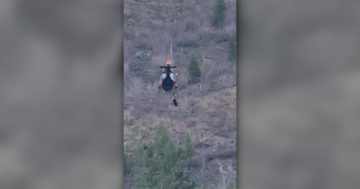 ‘A huge concern’: Okanagan search crew warns of growing trend as another senior goes missing ‘A huge concern’: Okanagan search crew warns of growing trend as another senior goes missing