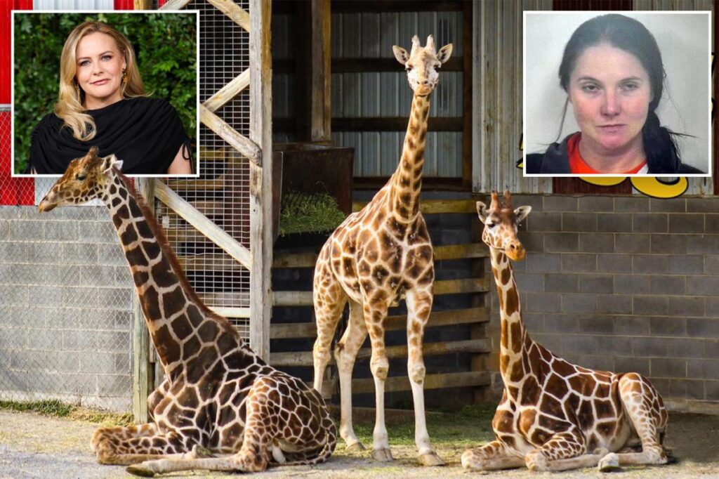 Alicia Silverstone offers K reward for return of baby giraffes who mysteriously vanished from troubled zoo 7 months ago